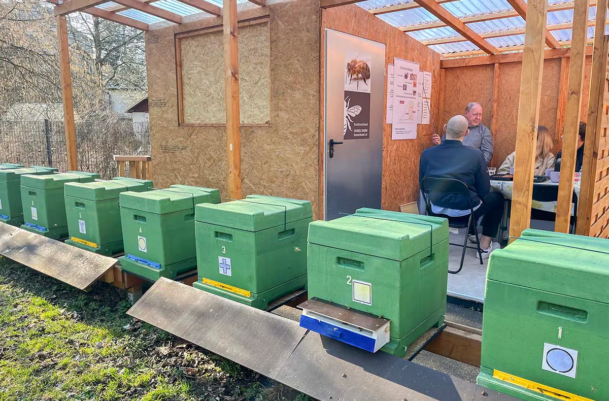 Imkerei Berlin - 8