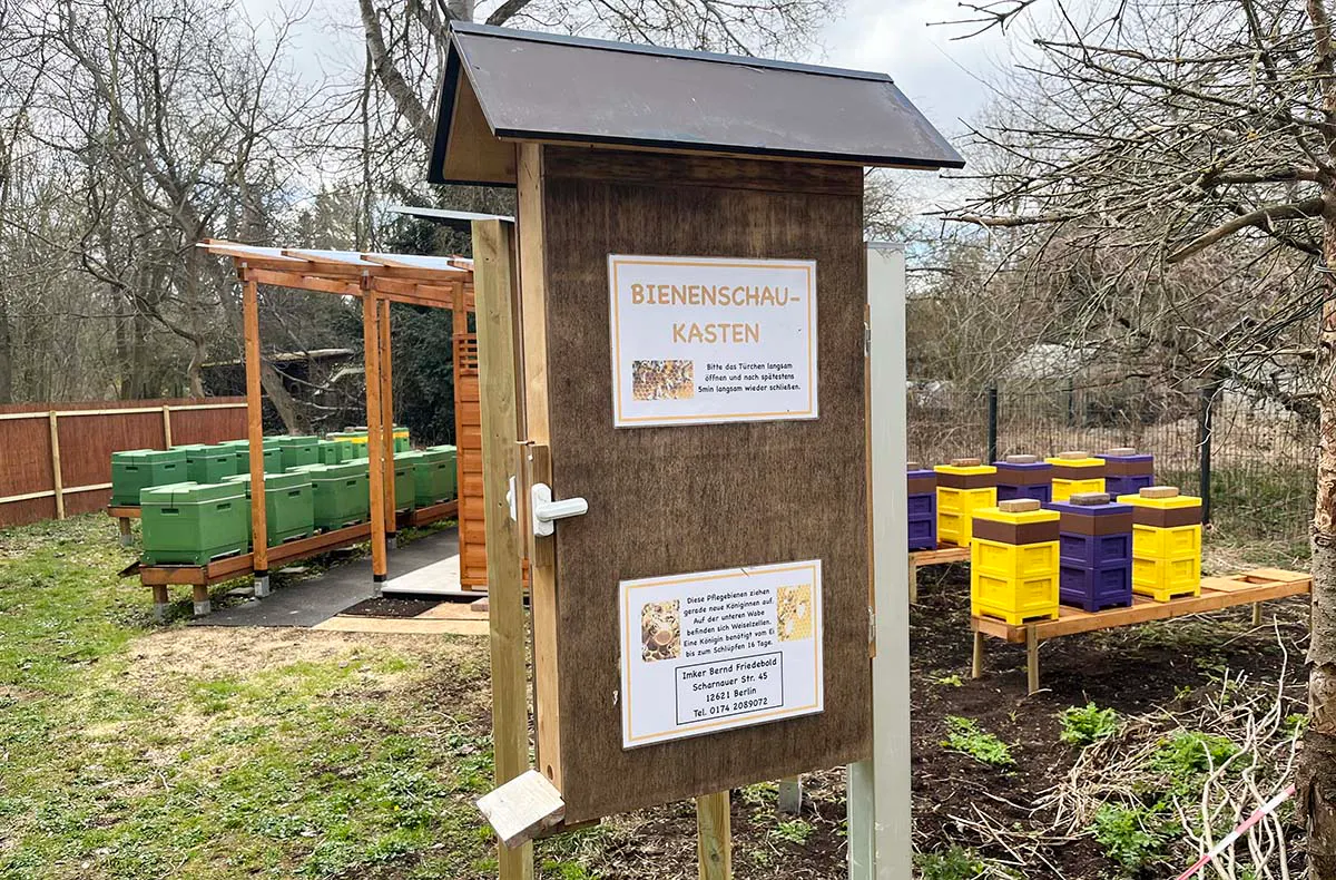 Imkerei Berlin - 4