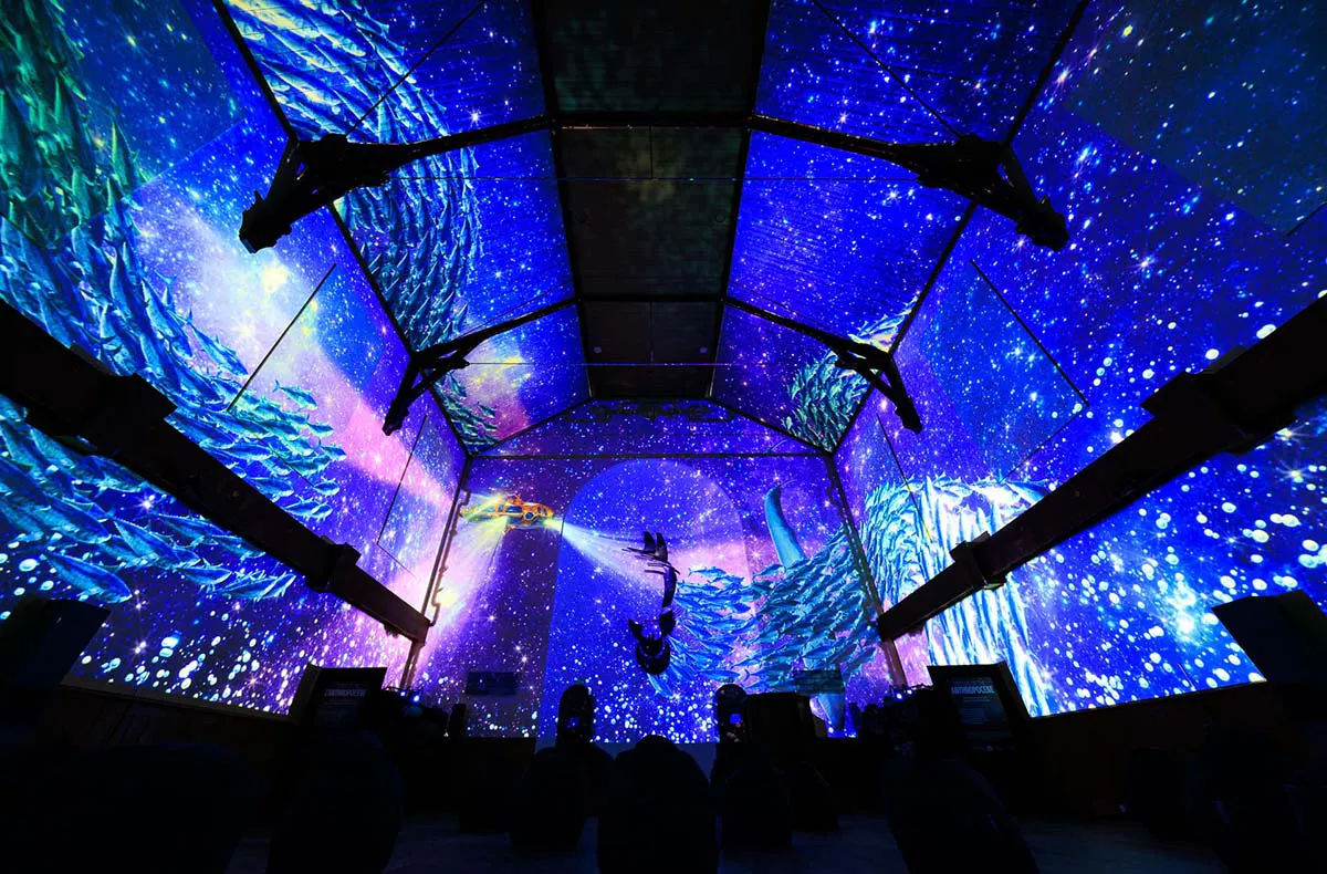 Immersive Show Heidelberg (Pixel Zoo) - 2