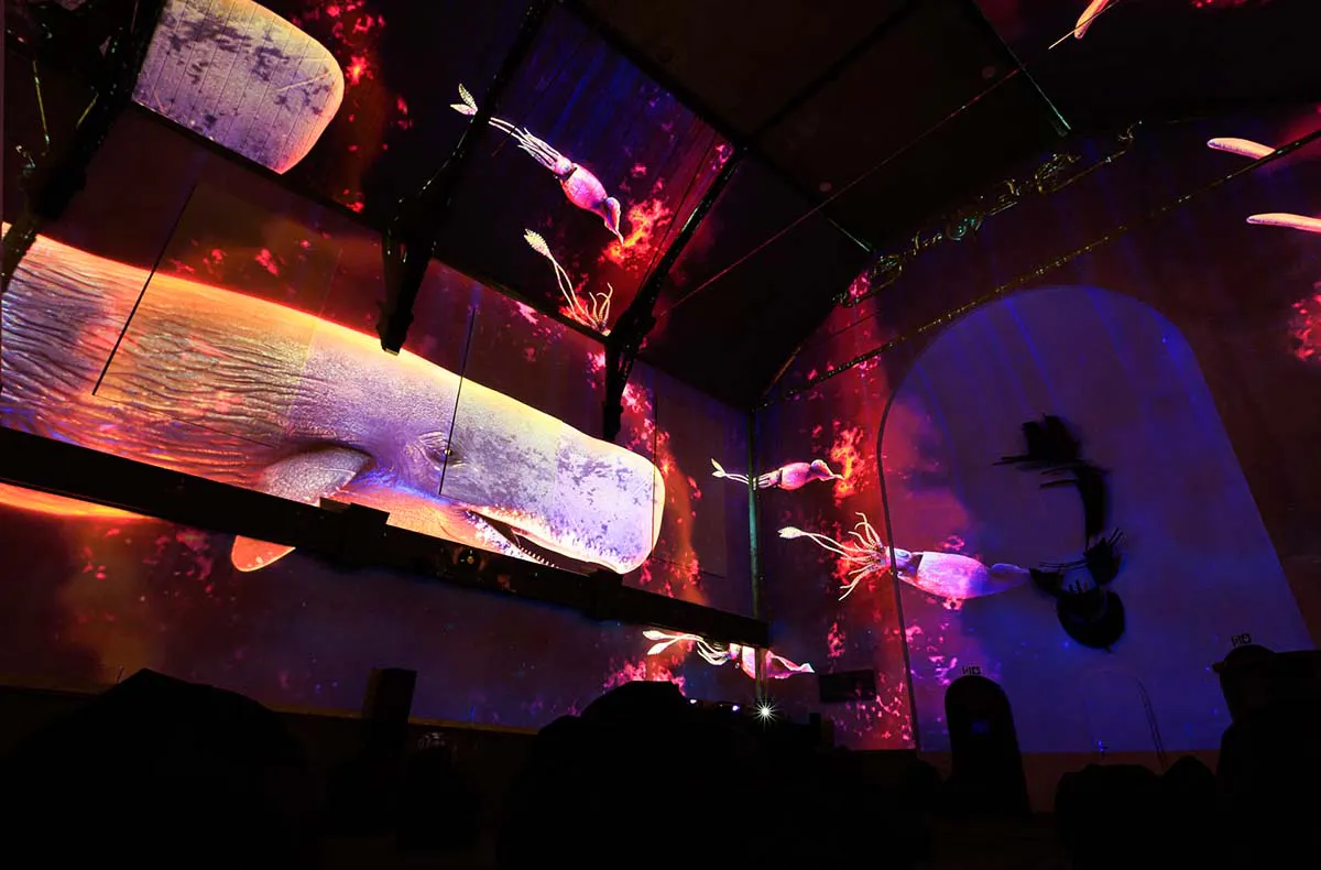 Immersive Show Heidelberg (Pixel Zoo) - 5