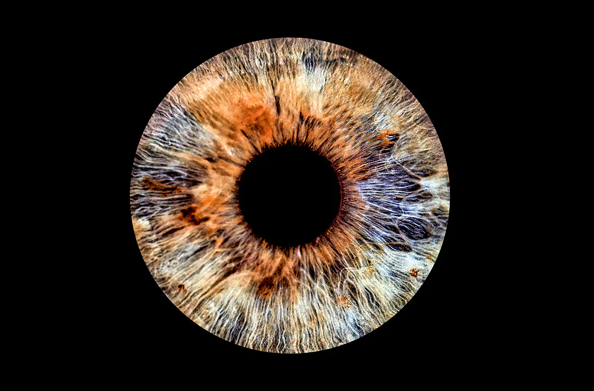 Iris Fotografie Haßfurt - 5