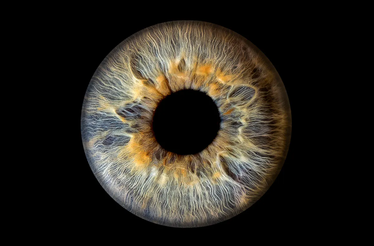 Iris Fotoshooting Sindelfingen - 5