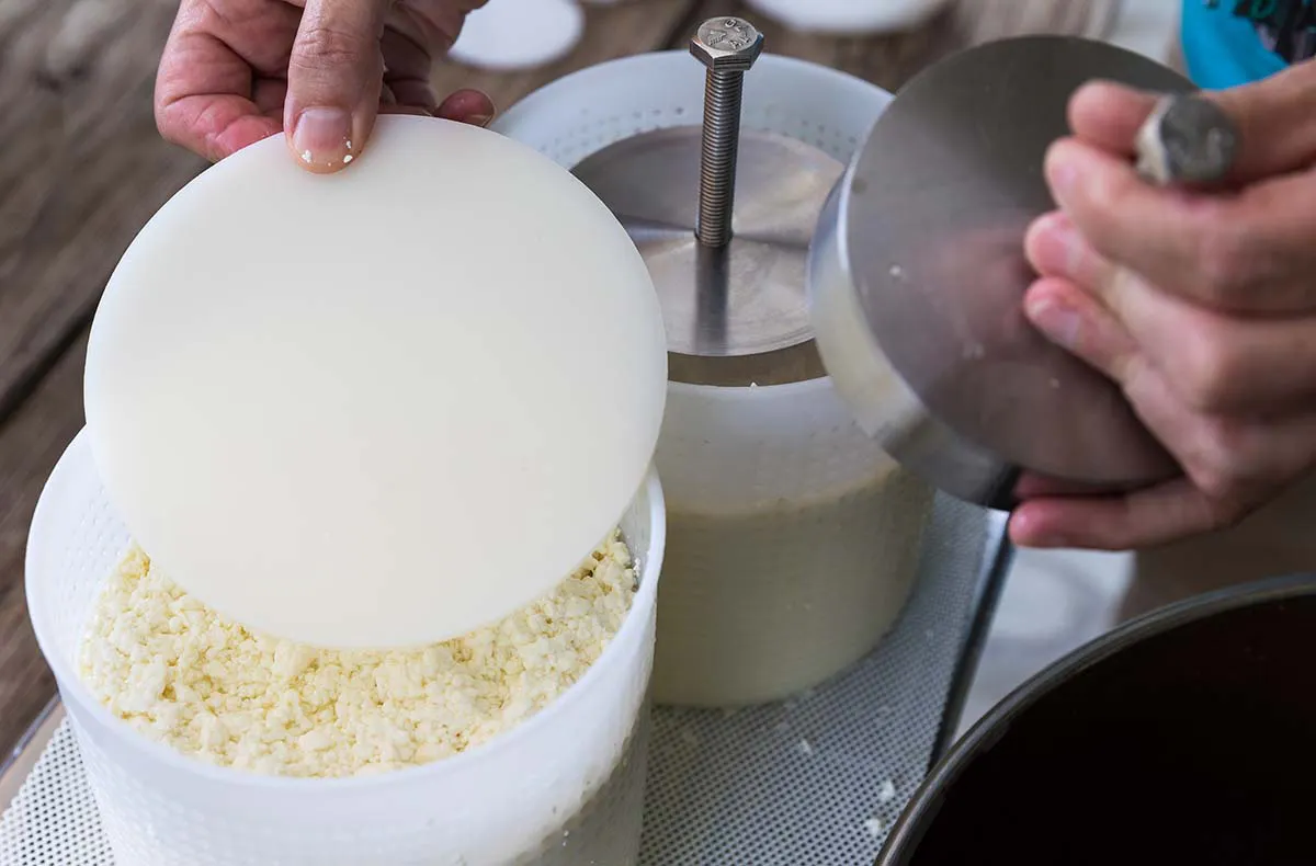 Käse selber machen Hutthurm - 5