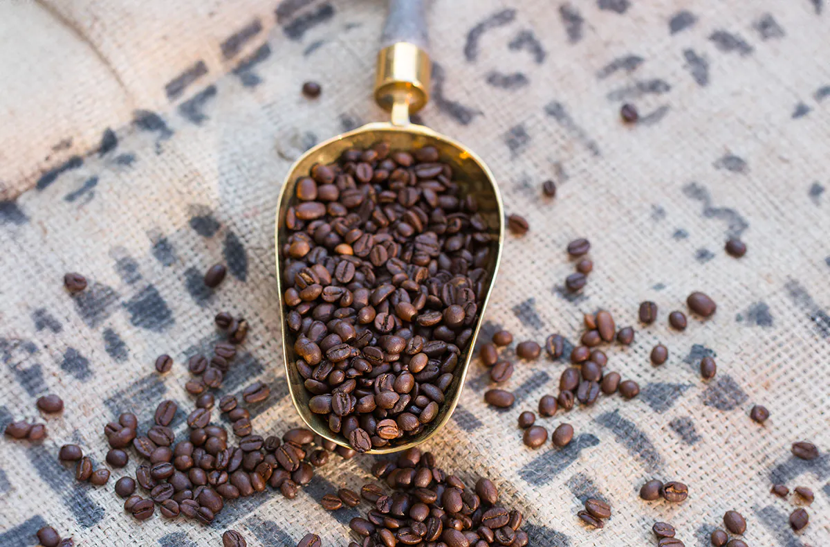 Kaffee Seminar Legau - 5