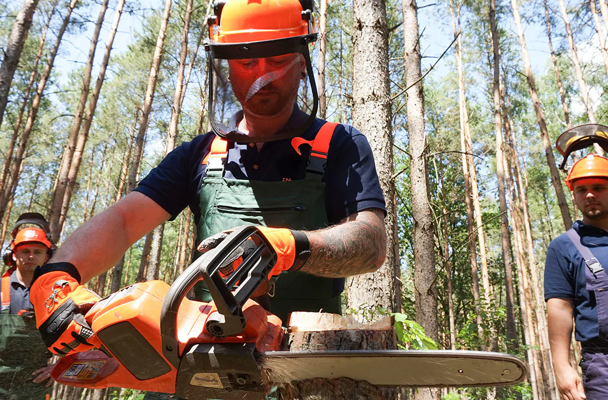 Kettensägenkurs Oderberg - 5