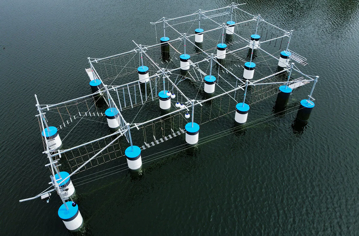 Kletterparcour für 2 Selm - 5