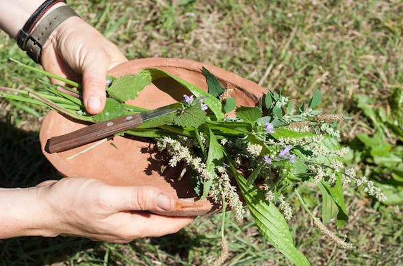 Kräuterkurs Walchow