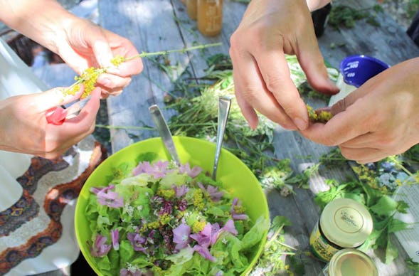 Kräuterwanderung Wegberg