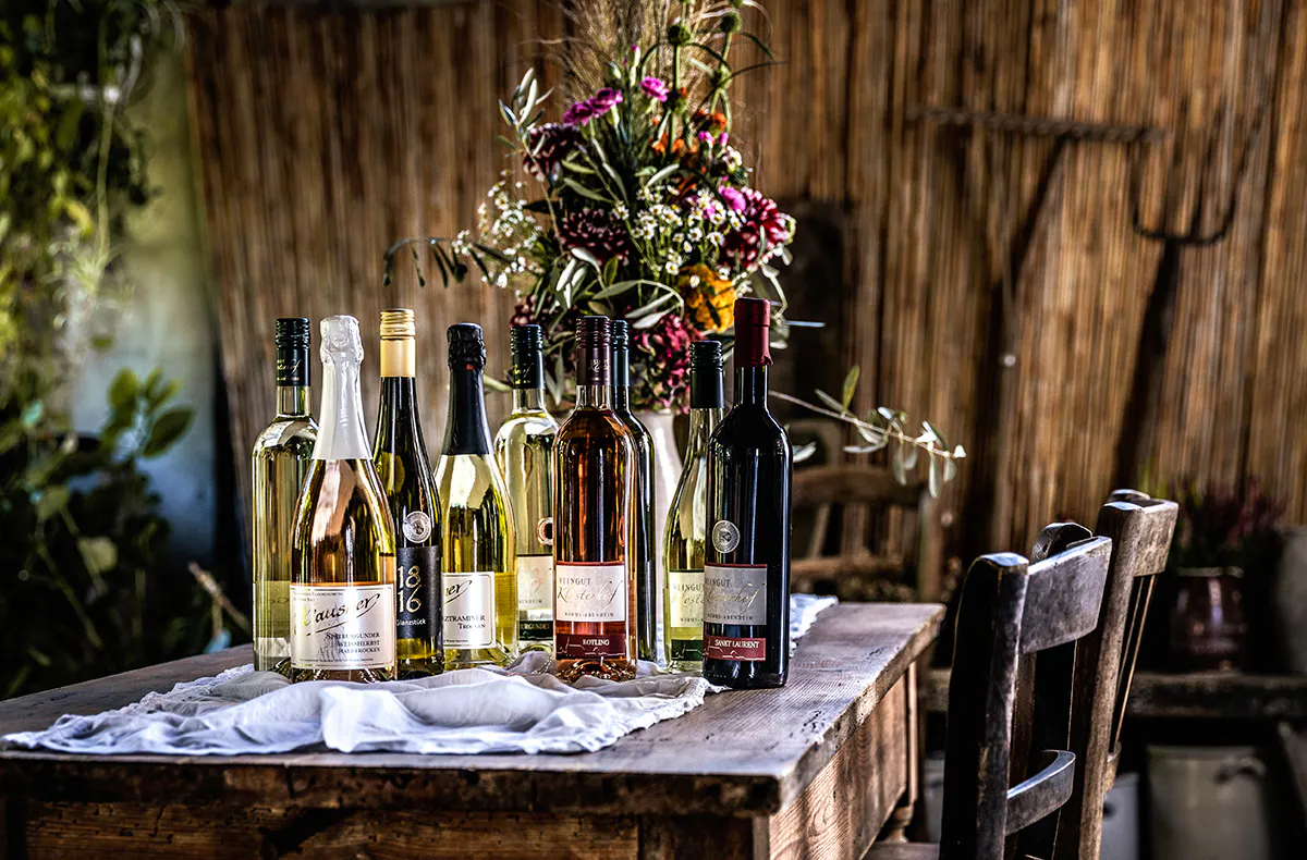 Kulinarische Weinbergwanderung in Worms - 6