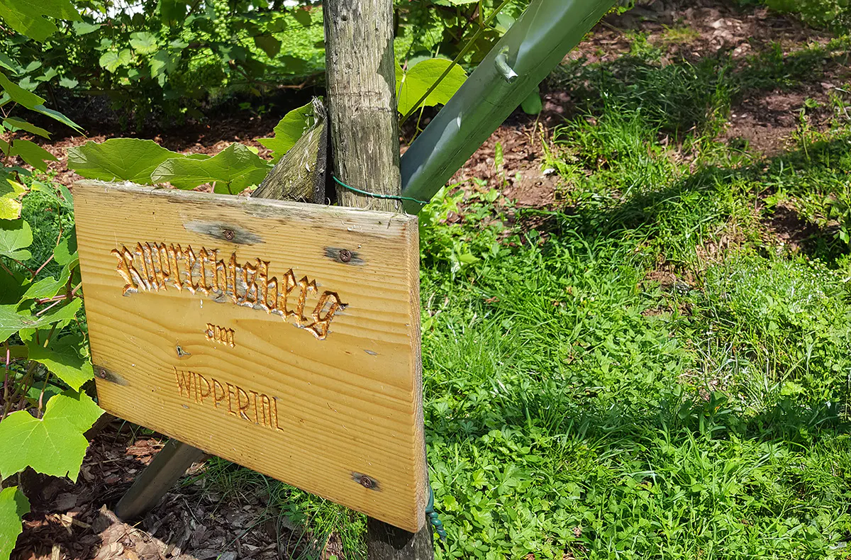 Kulinarische Reise nach Ilberstedt - 6