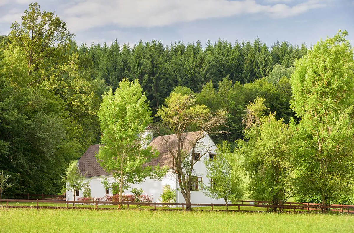 Kurzurlaub auf dem Anwesen Schloss Ernegg für 2 (3 Nächte) - 13