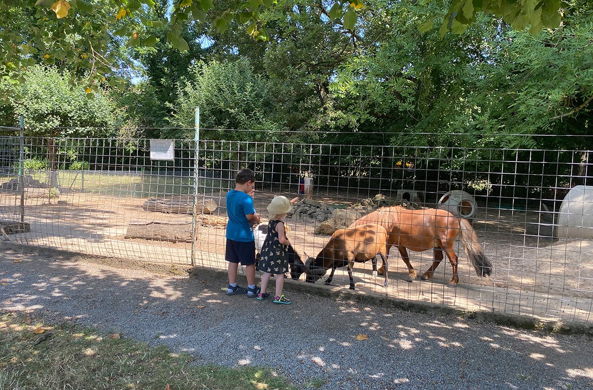 Kurzurlaub Bad Schönborn für 2 (1 Nacht) inkl. Heidelberg-Card - 6