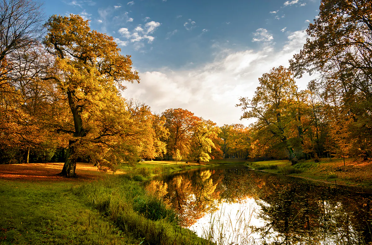 Kurzurlaub Dessau für 2 (2 Nächte) - 5