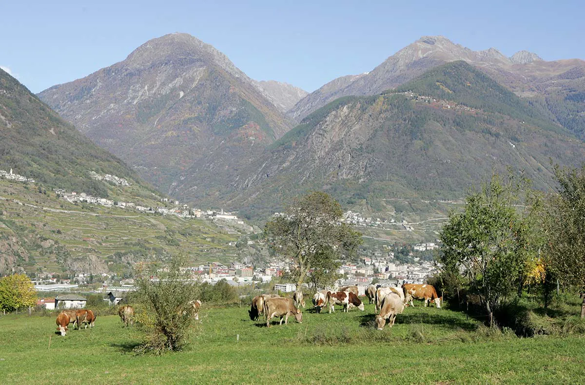 Ferien auf dem Bauernhof Lombardei für 2 (1 Nacht) - 9