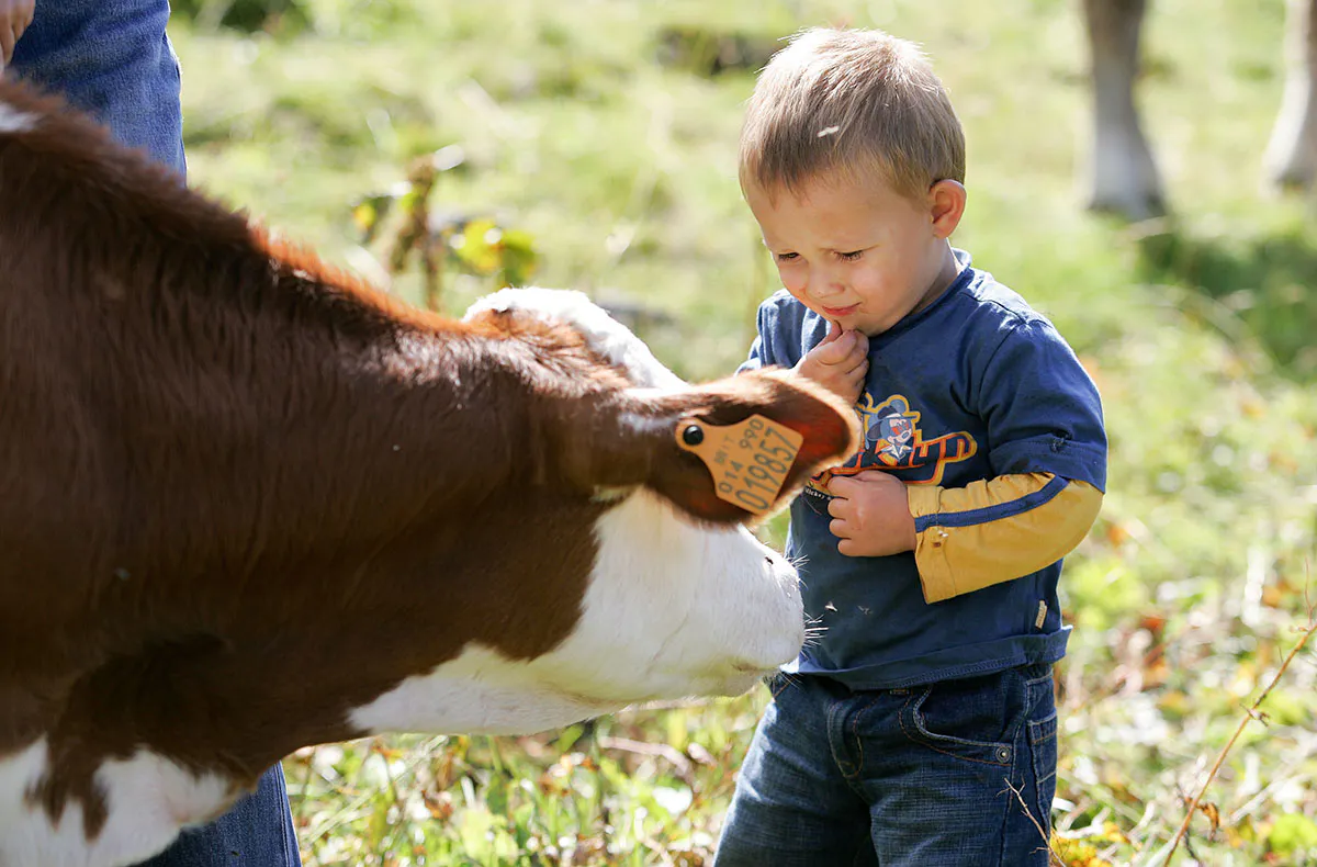Ferien auf dem Bauernhof Lombardei für 2 (1 Nacht) - 5