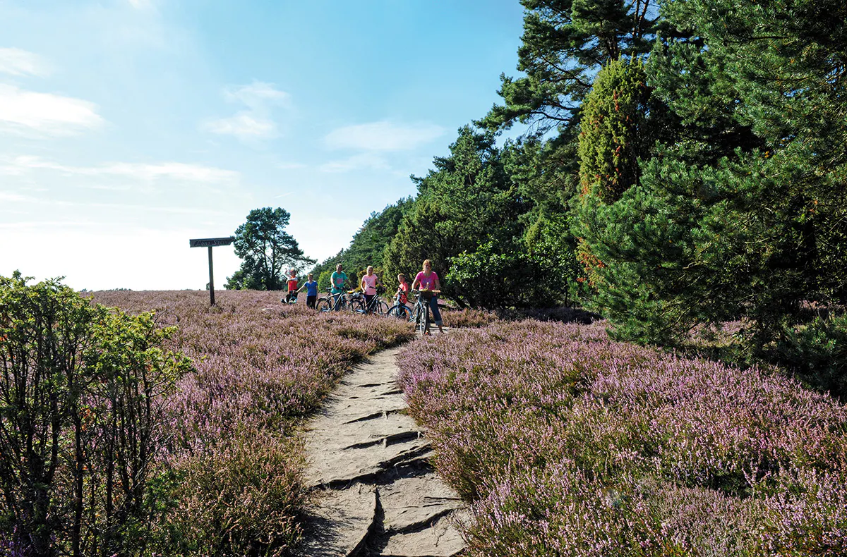 Kurzurlaub Gifhorn mit Bootsverleih für 2 (2 Nächte) - 10