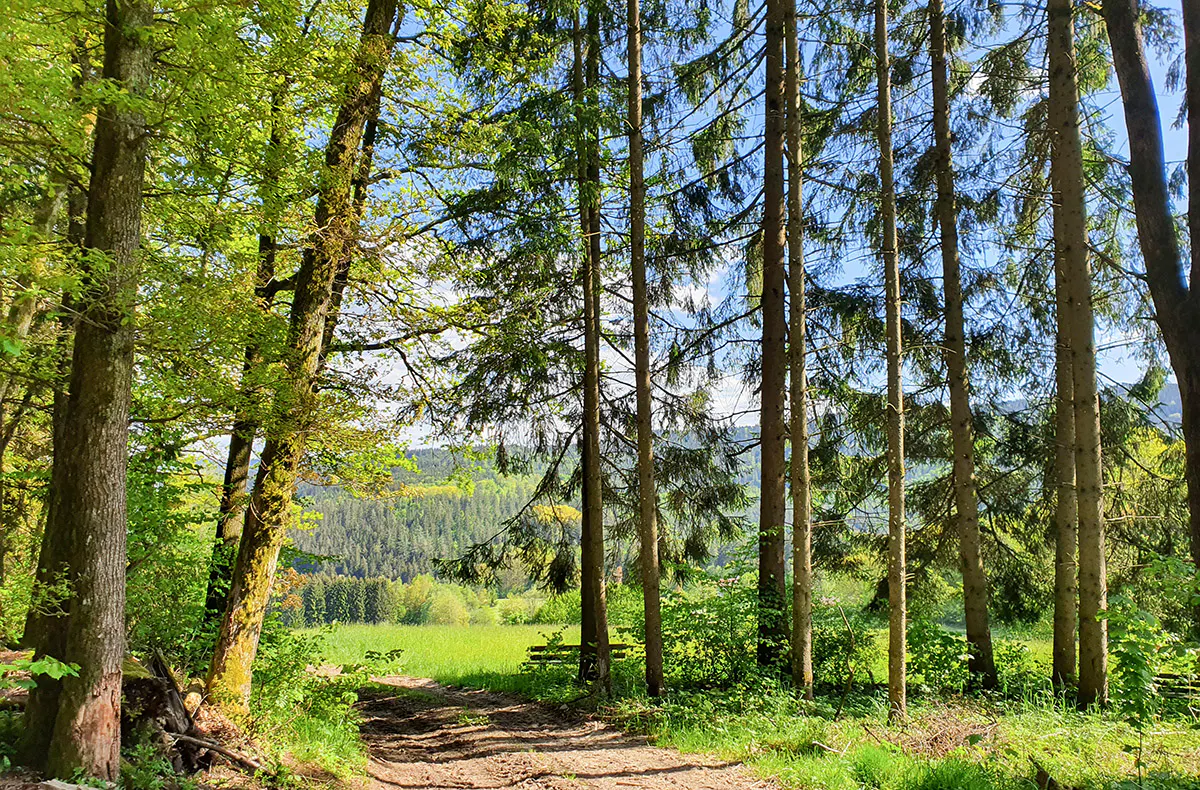 Kurzurlaub im Bayerischen Wald für 2 (2 Nächte) - 7