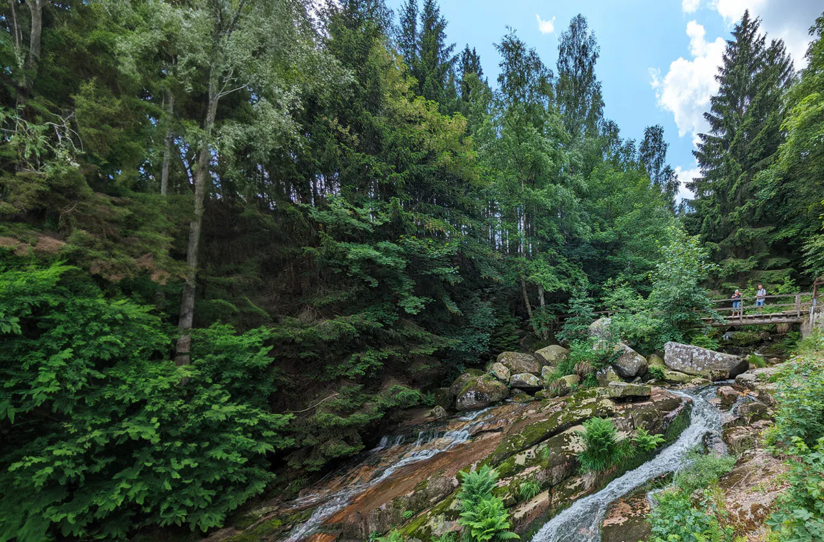 Urlaub mit Hund im Harz für 2 (2 Nächte) - 8