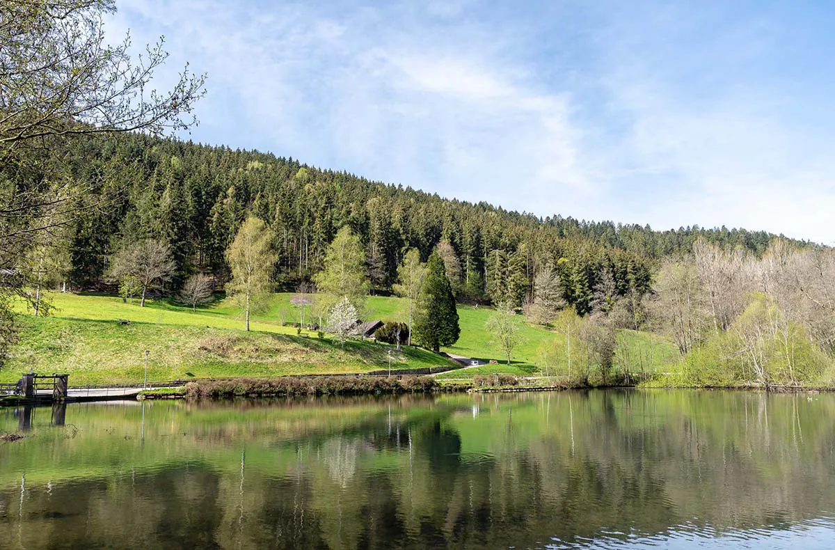 Romantikurlaub im Schwarzwald (Berneck) für 2 (1 Nacht) - 7