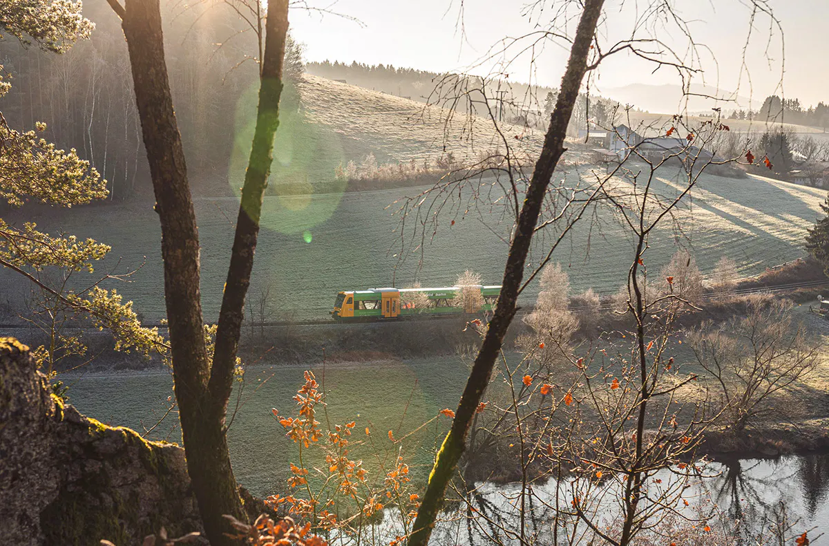 Kurzurlaub mit Hund Viechtach für 2 (2 Nächte) - 8