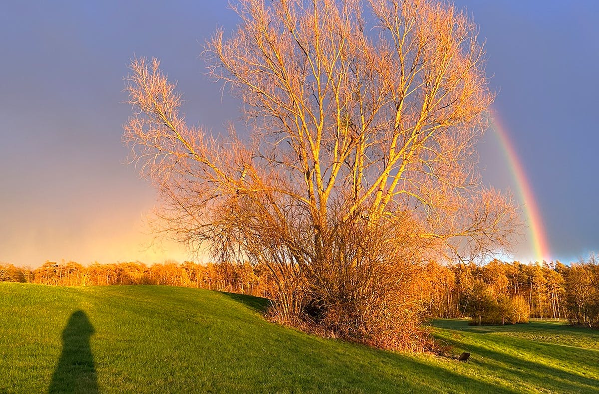 Kurzurlaub Strausberg für 2 (2 Nächte) - 9