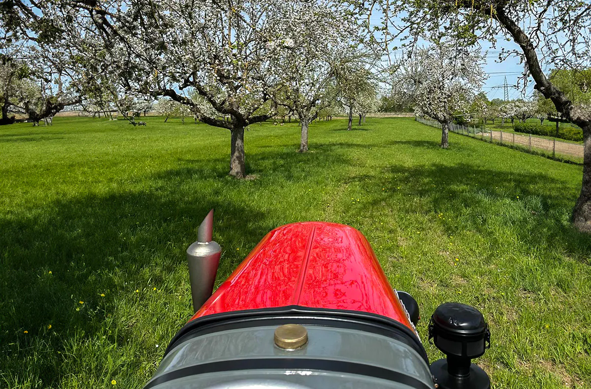 Lamborghini Traktor fahren Sindelfingen (Sonnenuntergang) - 6