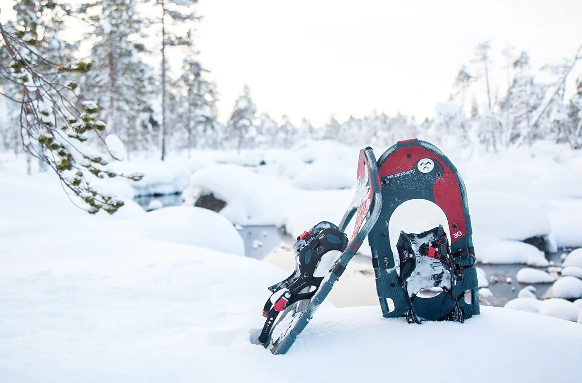 Lappland mit Schlittenfahrt für 2 - 8
