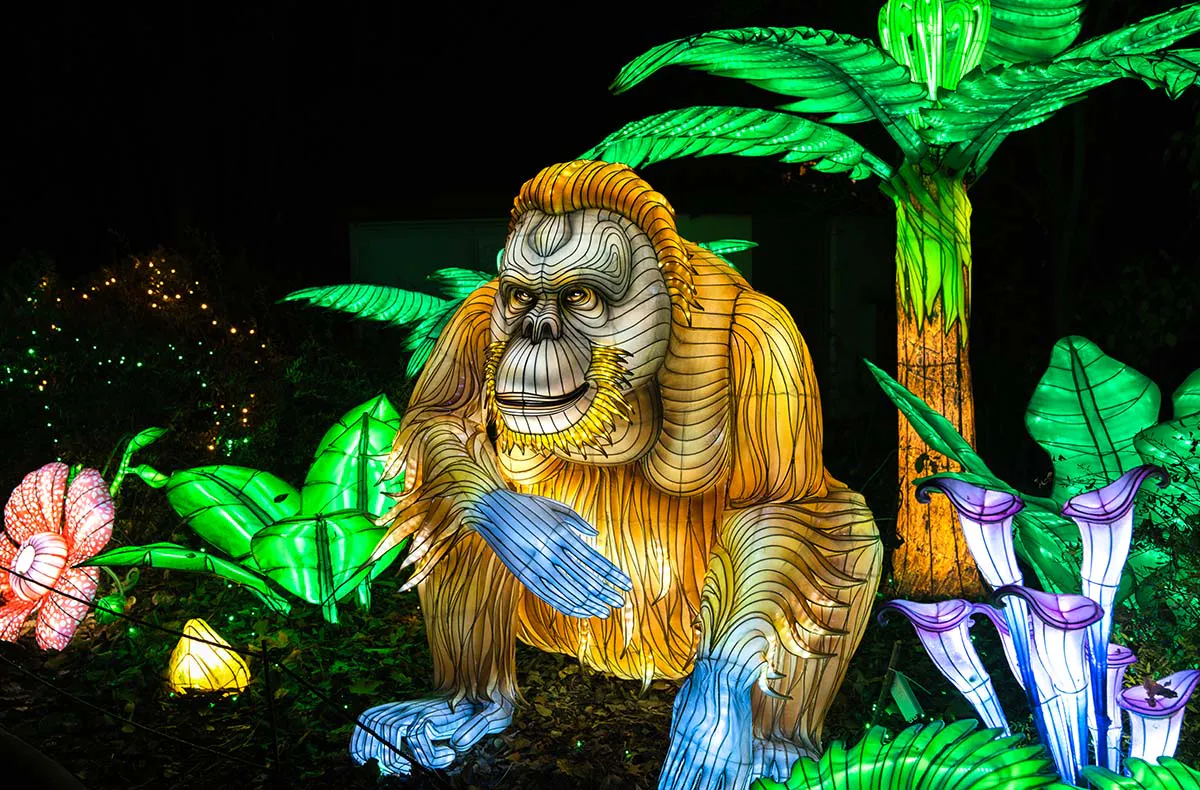 Lichterfestival mit Übernachten im Serengeti-Park für 2 (1 Nacht) - 6
