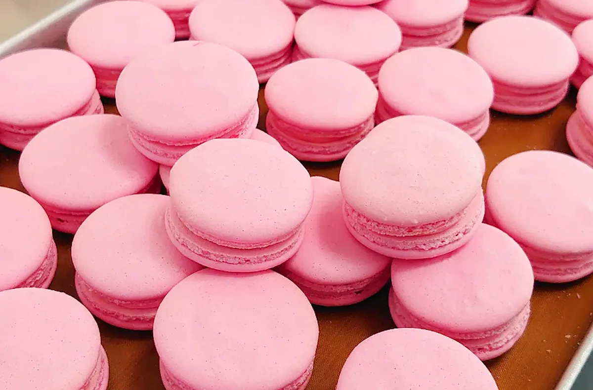 Macaron Backkurs Köln - 2