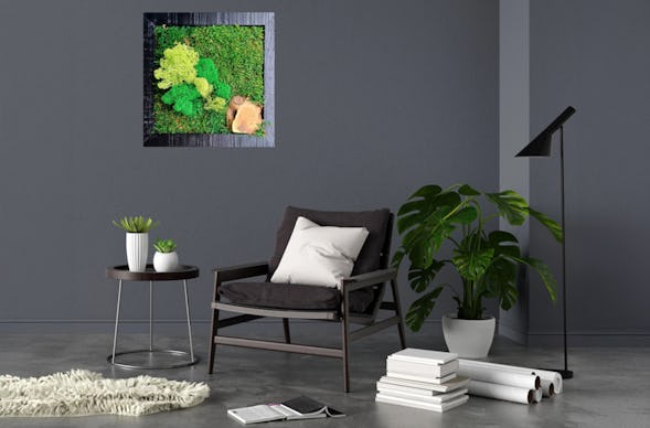 Moosbilder selber machen Solingen