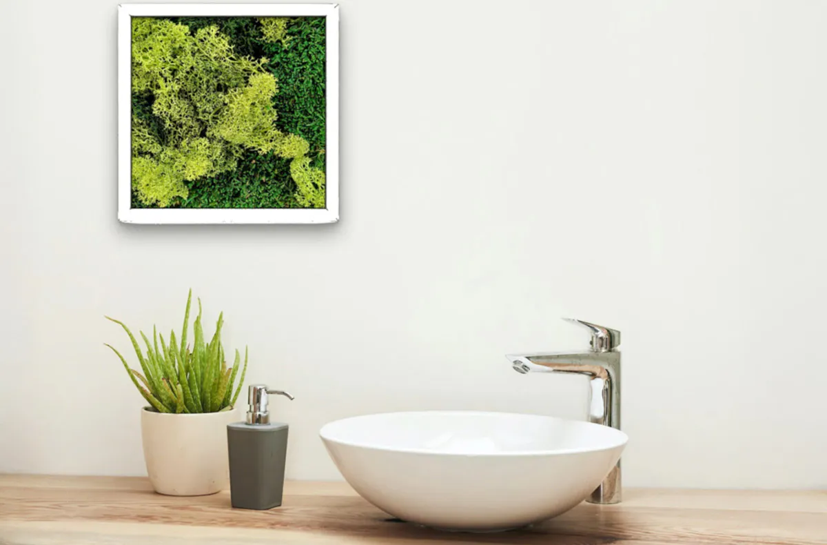 Moosbilder selber machen Solingen - 5