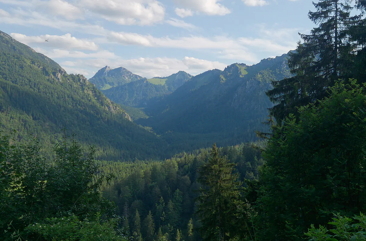 Mountainbike Tour Kreuth - 4