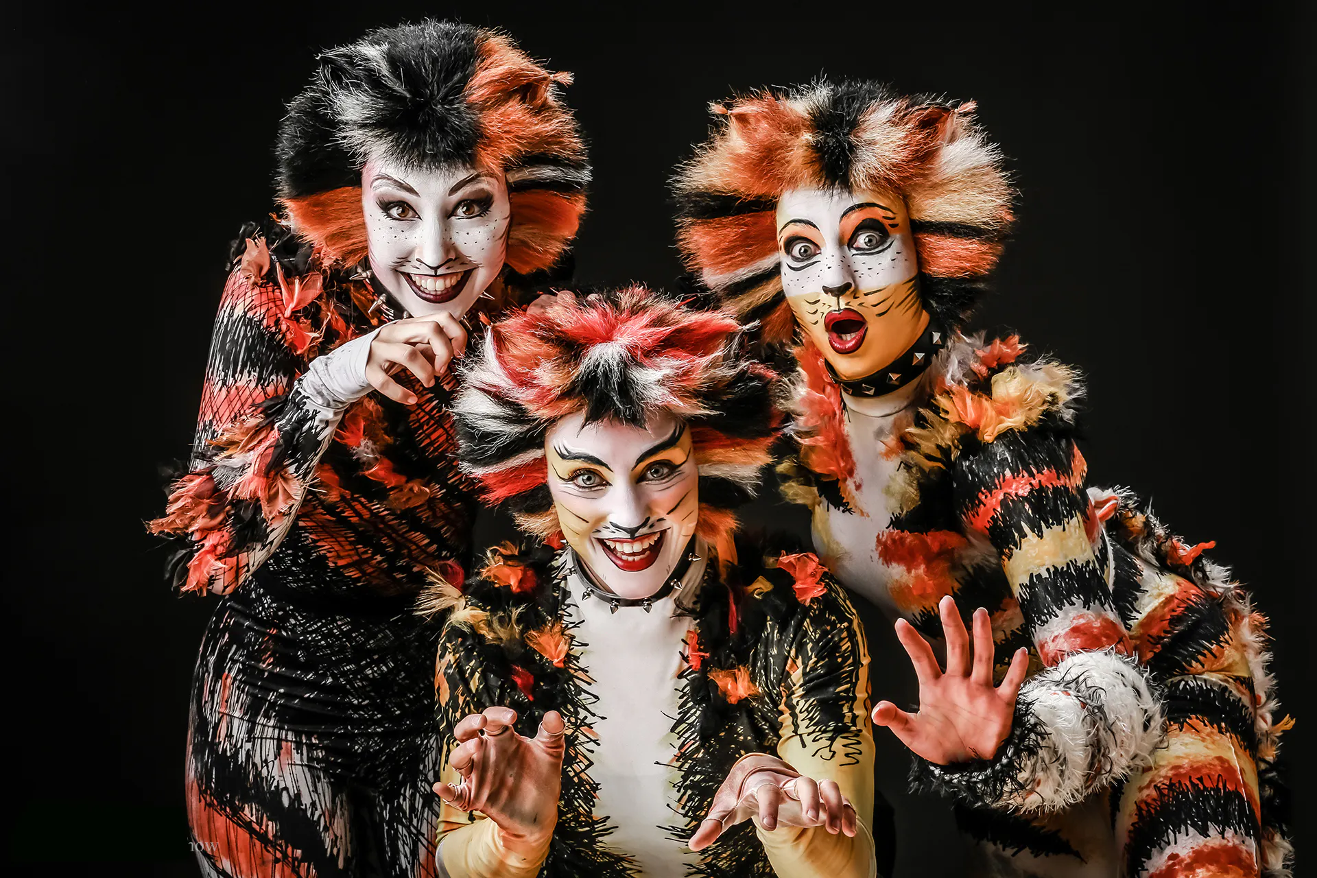 Musical Starlights (Show) Nordhorn - 5