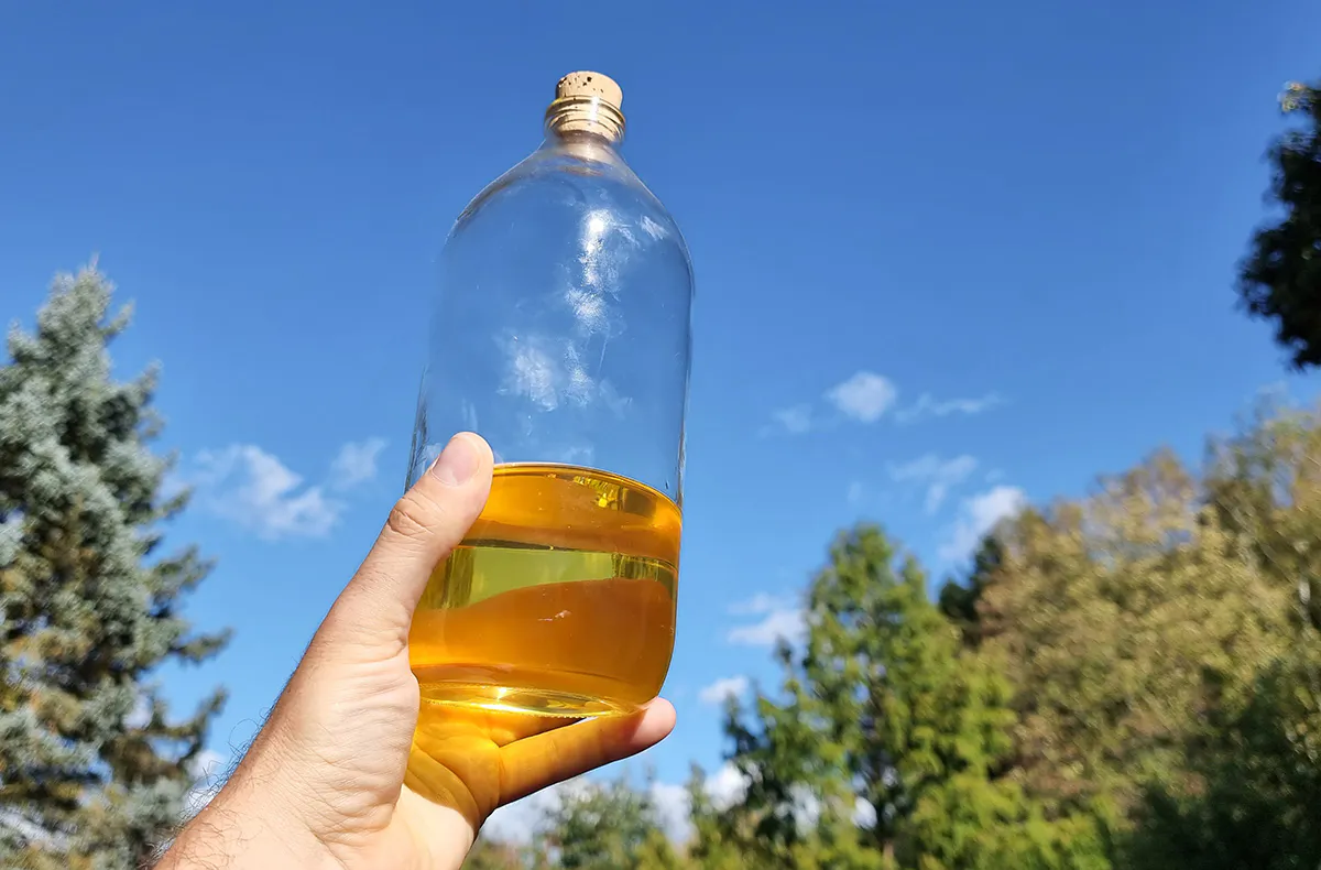 Naturkosmetik selber machen Neunkirchen - 5