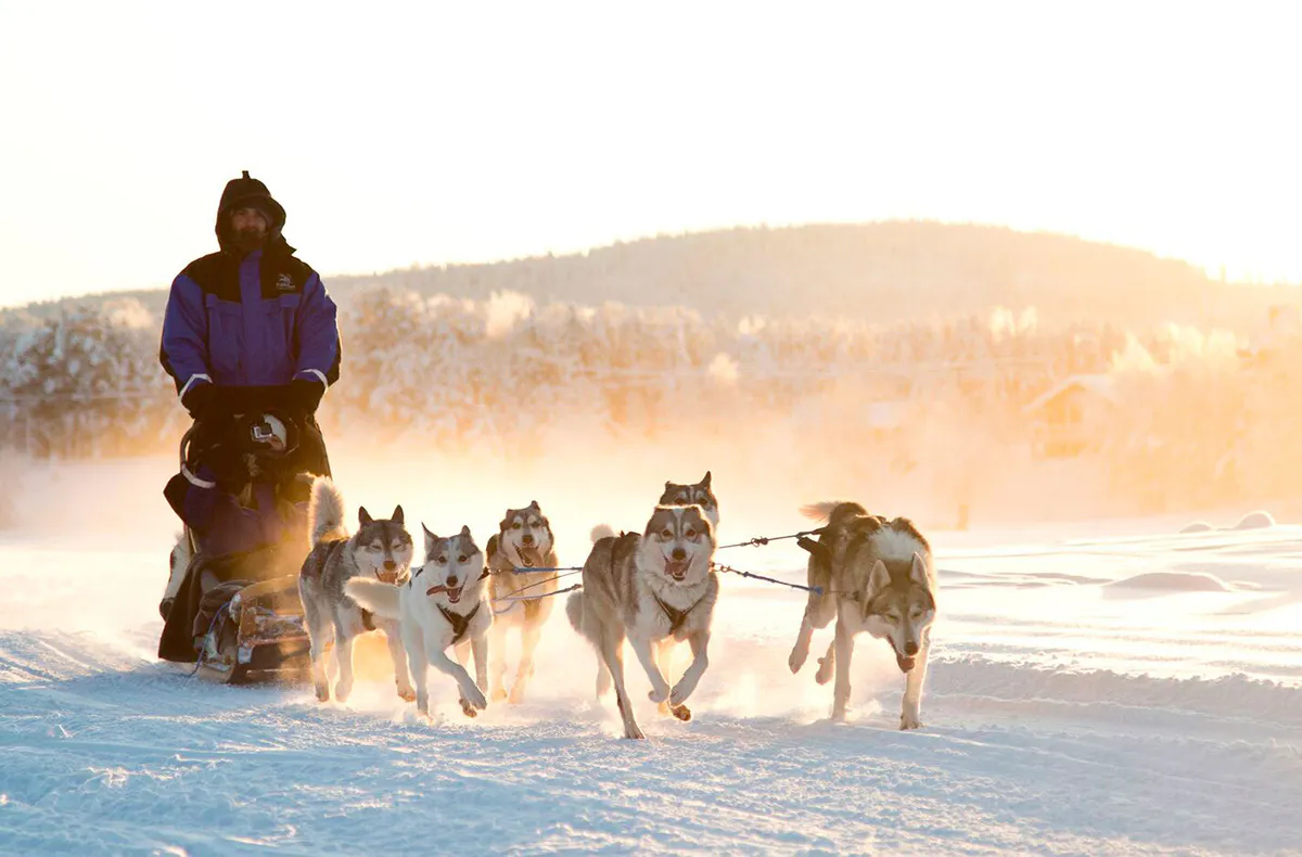Romantischer Nordlichter-Kurzurlaub in Lappland für 2 - 9