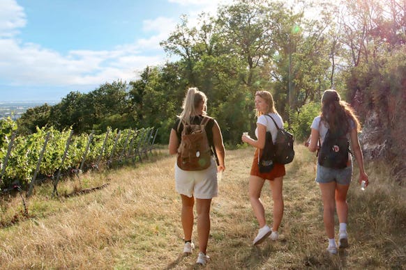 Outdoor Escape Gruppe - Anfänger "In Vino Veritas" Heilbronn