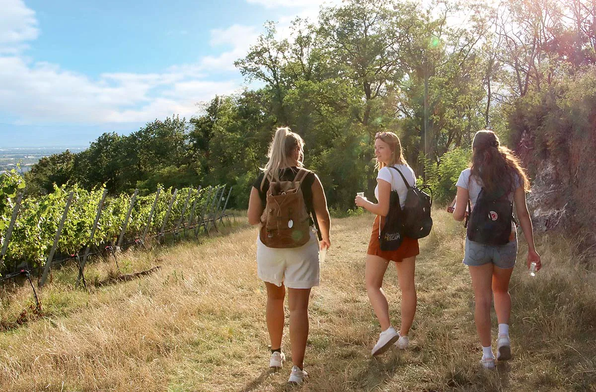 Outdoor Escape Gruppe - Anfänger "In Vino Veritas" Weil am Rhein - 2