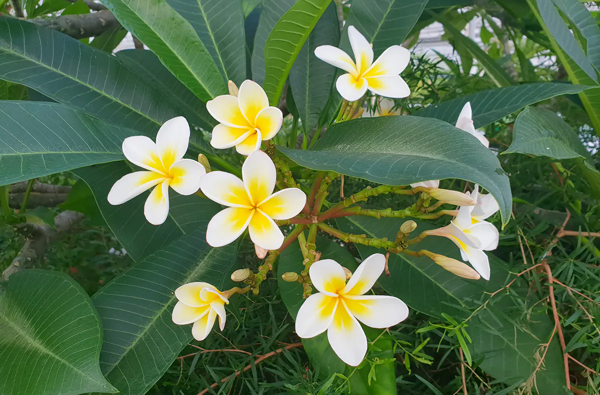 Parfüm selbst kreieren Neunkirchen - 5