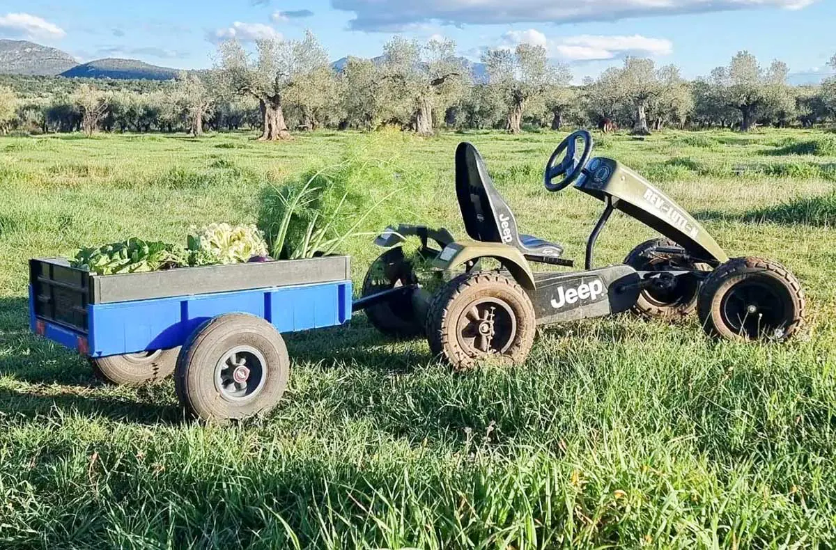 Pedal Gokart Hamburg - 4