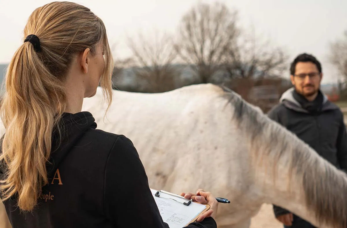 Pferdegestütztes Coaching Ammerbuch - 3