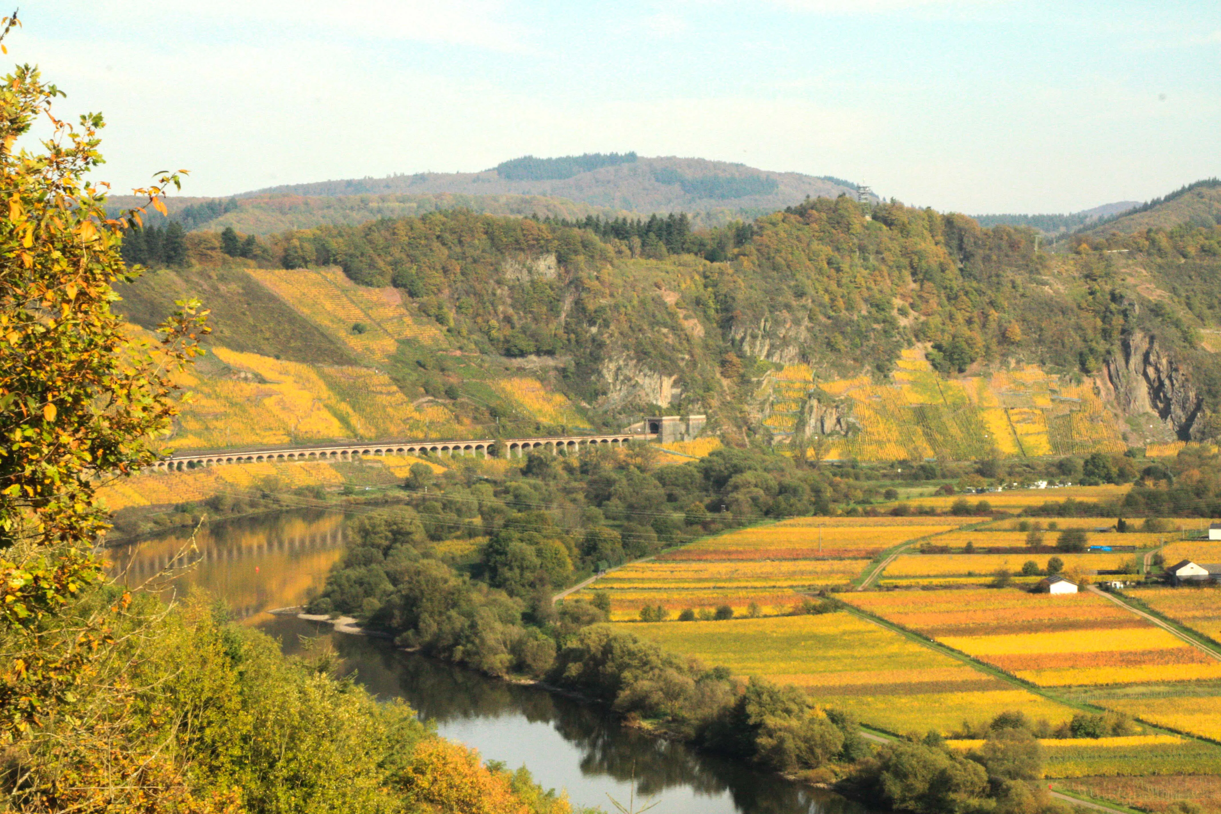 Planwagenfahrt mit Weinprobe Reil - 2