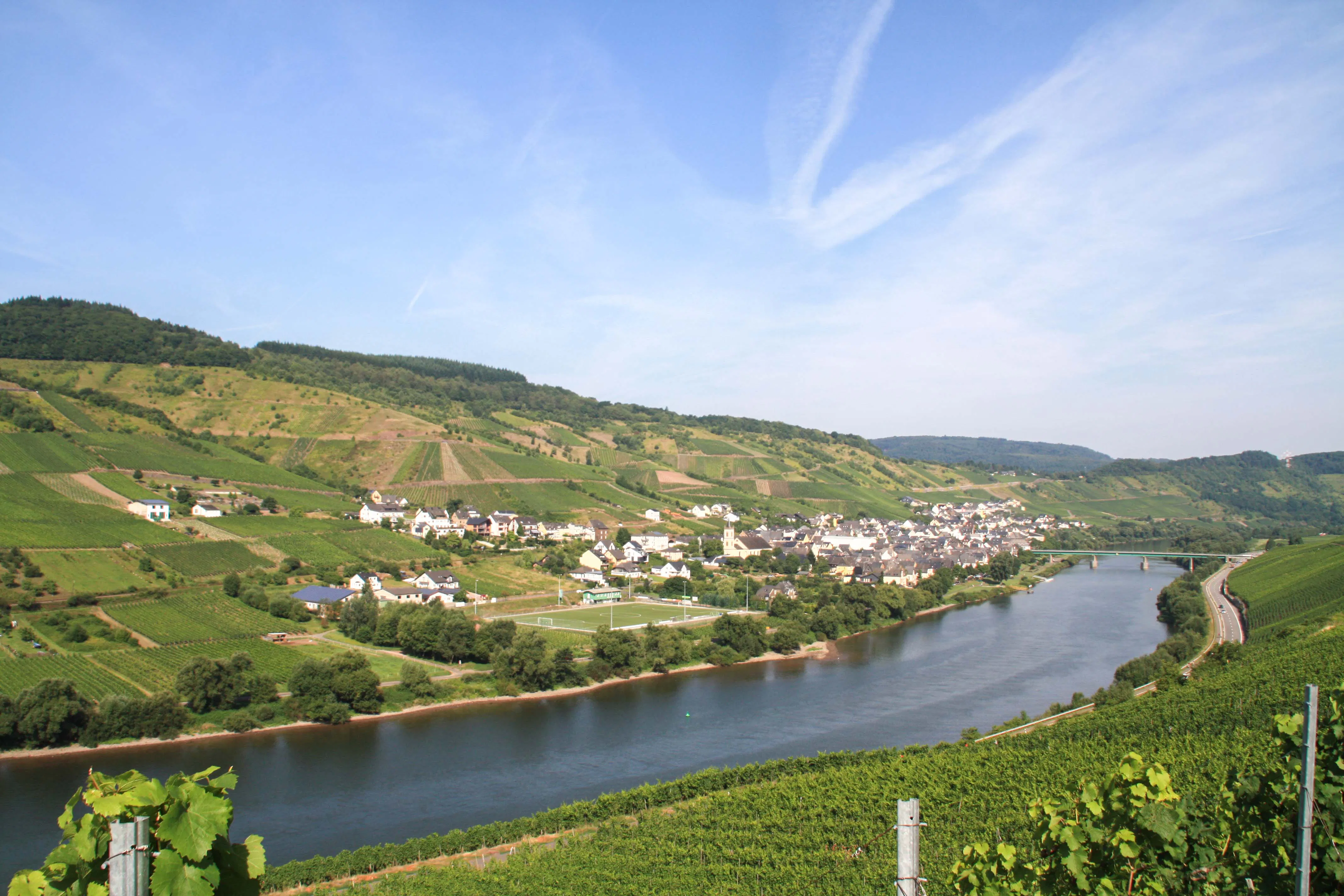 Planwagenfahrt mit Weinprobe Reil - 3