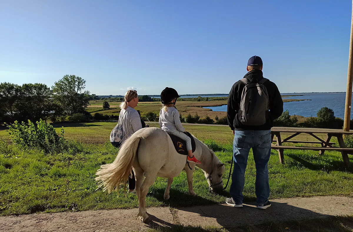 Pony Spaziergang für 2 Barth - 5