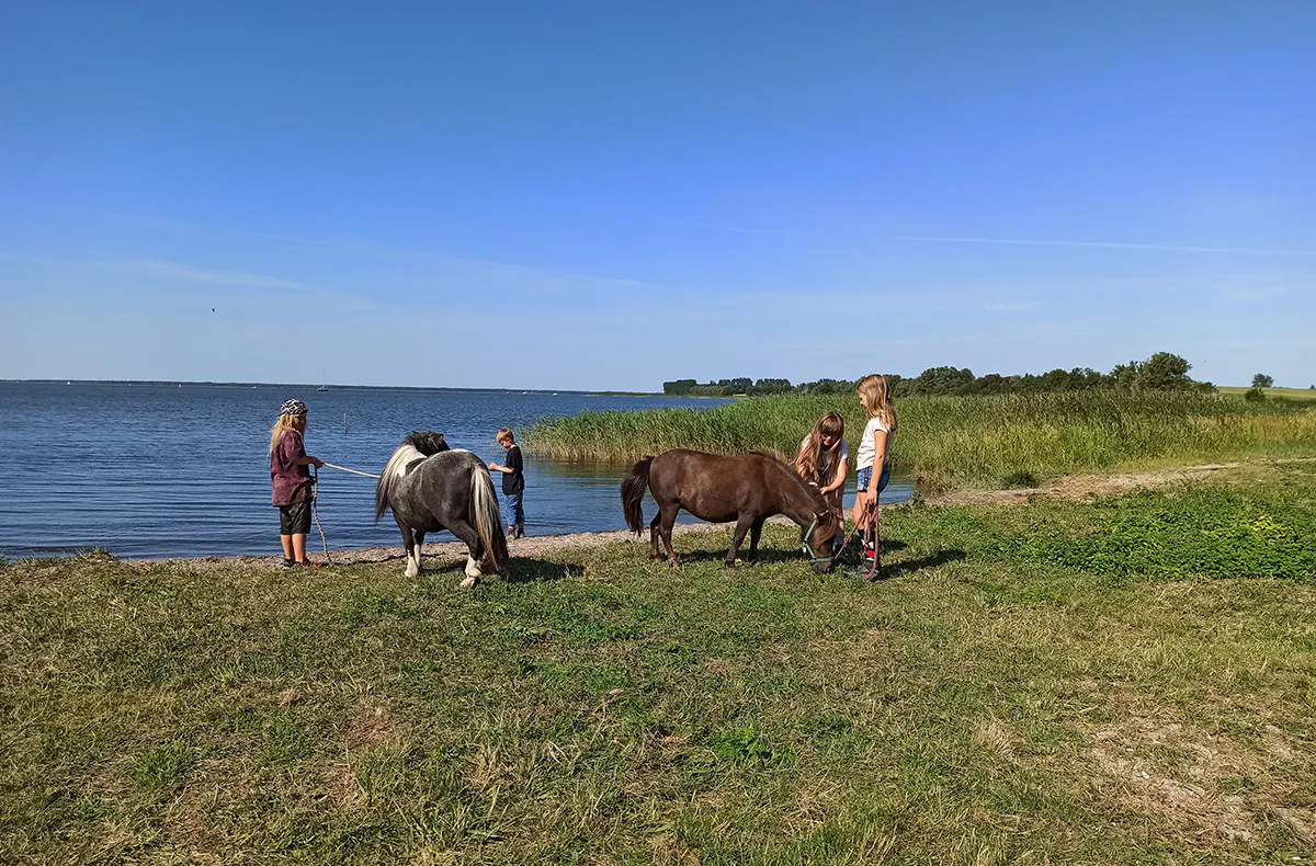 Pony Spaziergang Kuhlen-Wendorf - 5