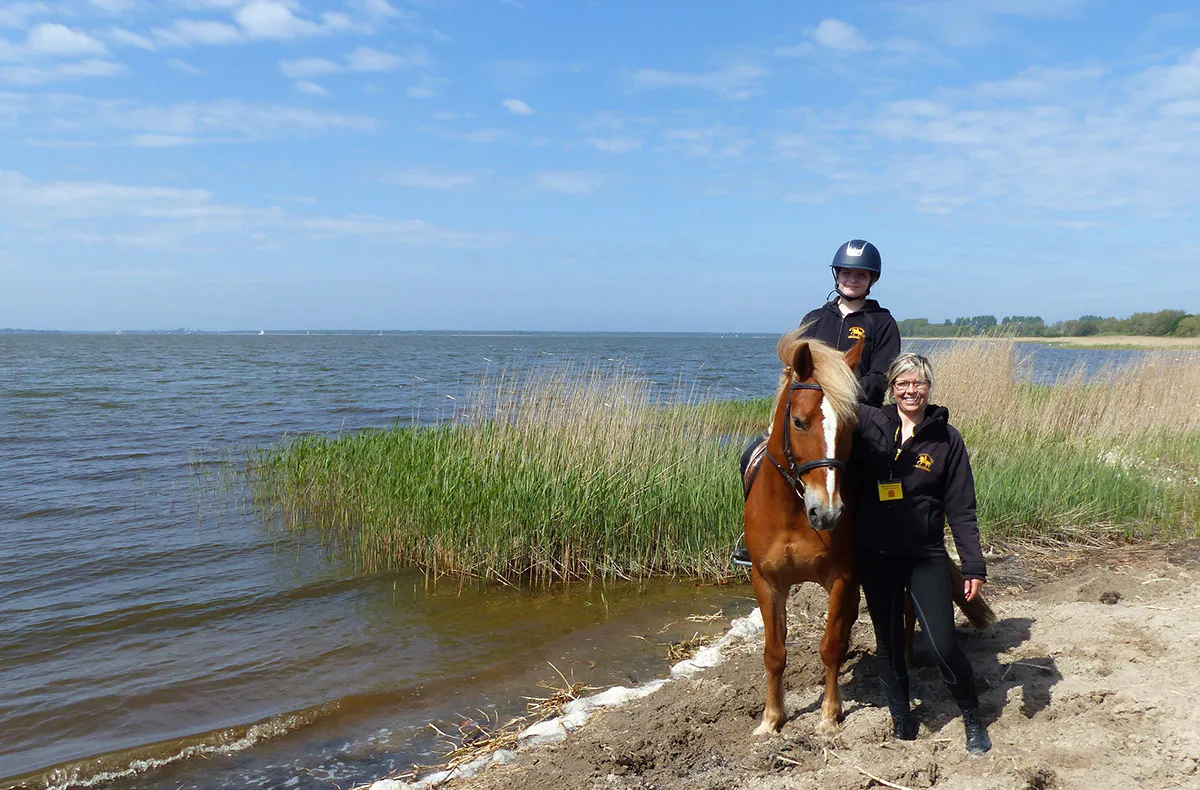 Rennreiten für Einsteiger Bad Doberan - 5