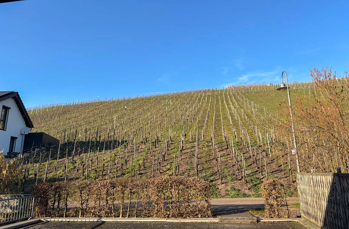 Kurzurlaub im Weingut an der Mosel für 2 (2 Nächte) - 8