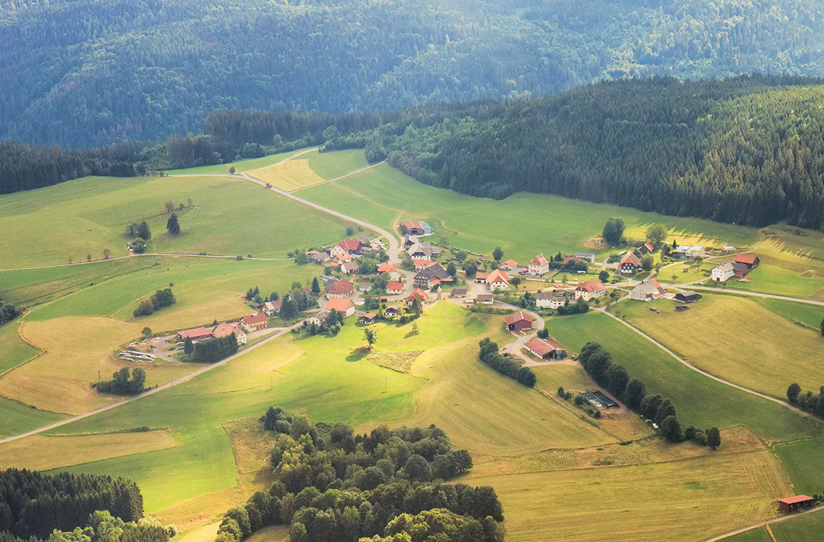 Rundflug im Ultraleichtflugzeug Freiburg im Breisgau (60 Min.) - 5