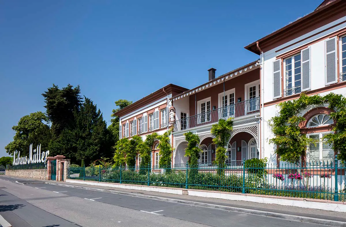 Wein-und Schaumweinseminar in der Villa Mumm Eltville - 5