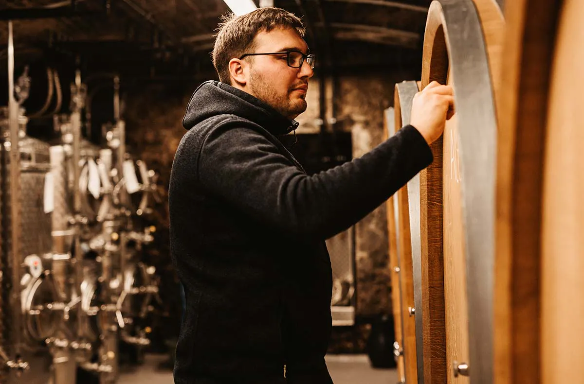 Schlenderweinprobe Eltville - 5