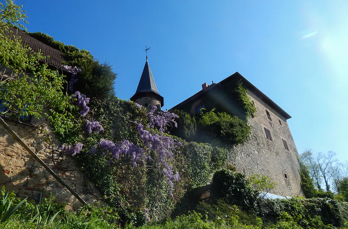 Schmiedekurs Schlüchtern auf Burg Brandenstein - 5